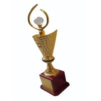 Corporate Award Trophy