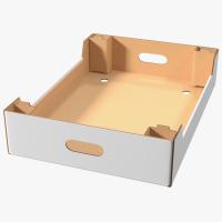 Corrugated Carton Tray, Open-top flat base type