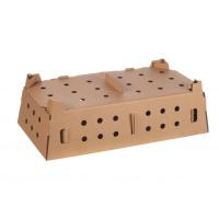 Corrugated Chick Carton Box, Ventilated partition Image