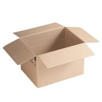 Corrugated Folding Cartons, Creased flat layout Image