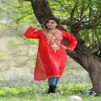 Cotton Kashmiri Kurti Image