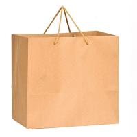 Crafted Paper Carry Bag