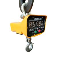 Crane Weighing Machine