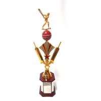 Cricket Copper Trophies