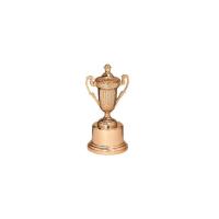 Cricket Copper Trophies