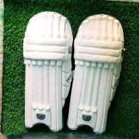 Cricket Leg Guards