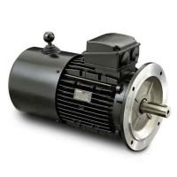 Crompton Brake Motor