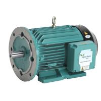 Crompton Greaves Motor Image