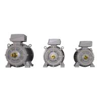 Crompton Greaves Motor