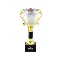 Crystal Award Cups