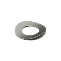 Curved Disc Washers
