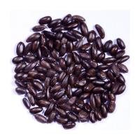 Custard Apple Fruit Seeds