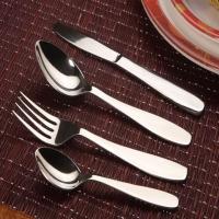 Cutlery Sober Spoon