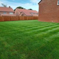 Cutting Grass Service