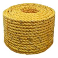 Danline PP Rope