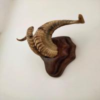 Decoration Sheep Horn 