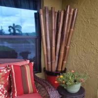 Decorative Bamboo Sticks, Complements modern furniture