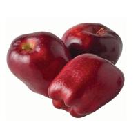 Delicious Red Apple