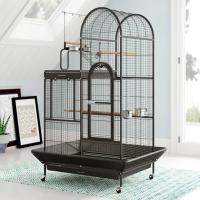 Designer Bird Cage Image