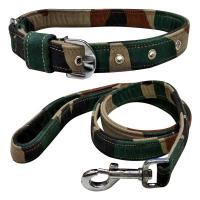 Designer Pet Collar
