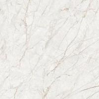 Digital Vitrified Tiles Image