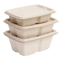 Disposable Food Container