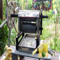 Diy Sugarcane Juice Machine, Single phase maximum power