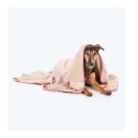 Dog Blanket