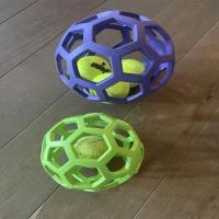 Dog Hex Ball 
