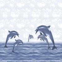 Dolphin Wall Tiles