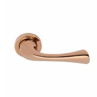 Door Rose Handles