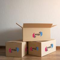 Double Wall Printed Corrugated Box, Dual fluted Image