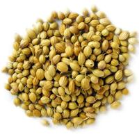 Dried Coriander Seeds