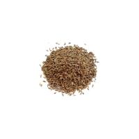 Dried Dill Seeds