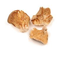  Dry Mushroom