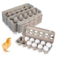 Egg Cartons