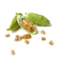 Superior Quality Green Cardamom Uses Aromatic Decent Flavor
