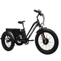 Electric Fat Tire Tricycle