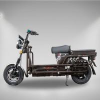 Electric Heavy Duty Bike