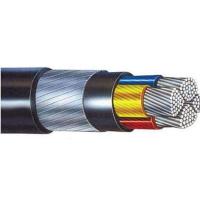 Electrical Armoured Wires