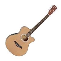 Electro Accoustic Guitar