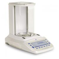Electronic Micro Balances