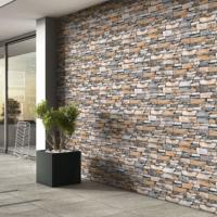 Elevation Outdoor Wall Tile, Multicolor outdoor