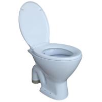 English Seat Toilet, Prefer the modern wall mounted