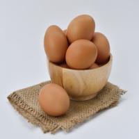 Enriched Chicken Egg