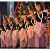 Ethnic Dance Costumes