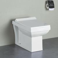 EWC Ceramic Toilet Image