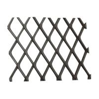 Expanded Mesh Defence