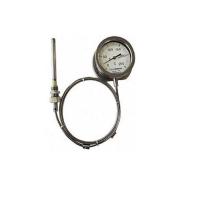 Filled Temperature Gauges