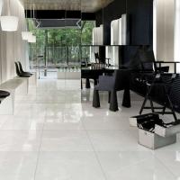 Fine Finish Floor Tiles